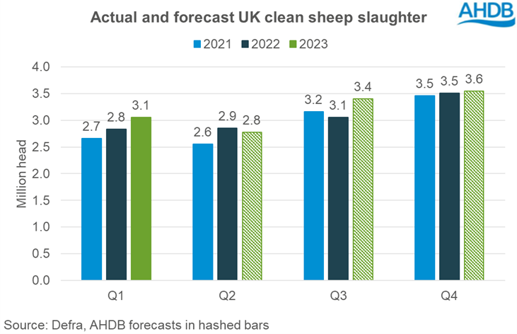 Graph showing actual and forecast quarterly UK clean sheep slaughter 2021-2023